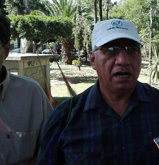 La Feria del Mezcal en el Llano, agrede a los árboles